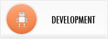 DEVELOPMENT